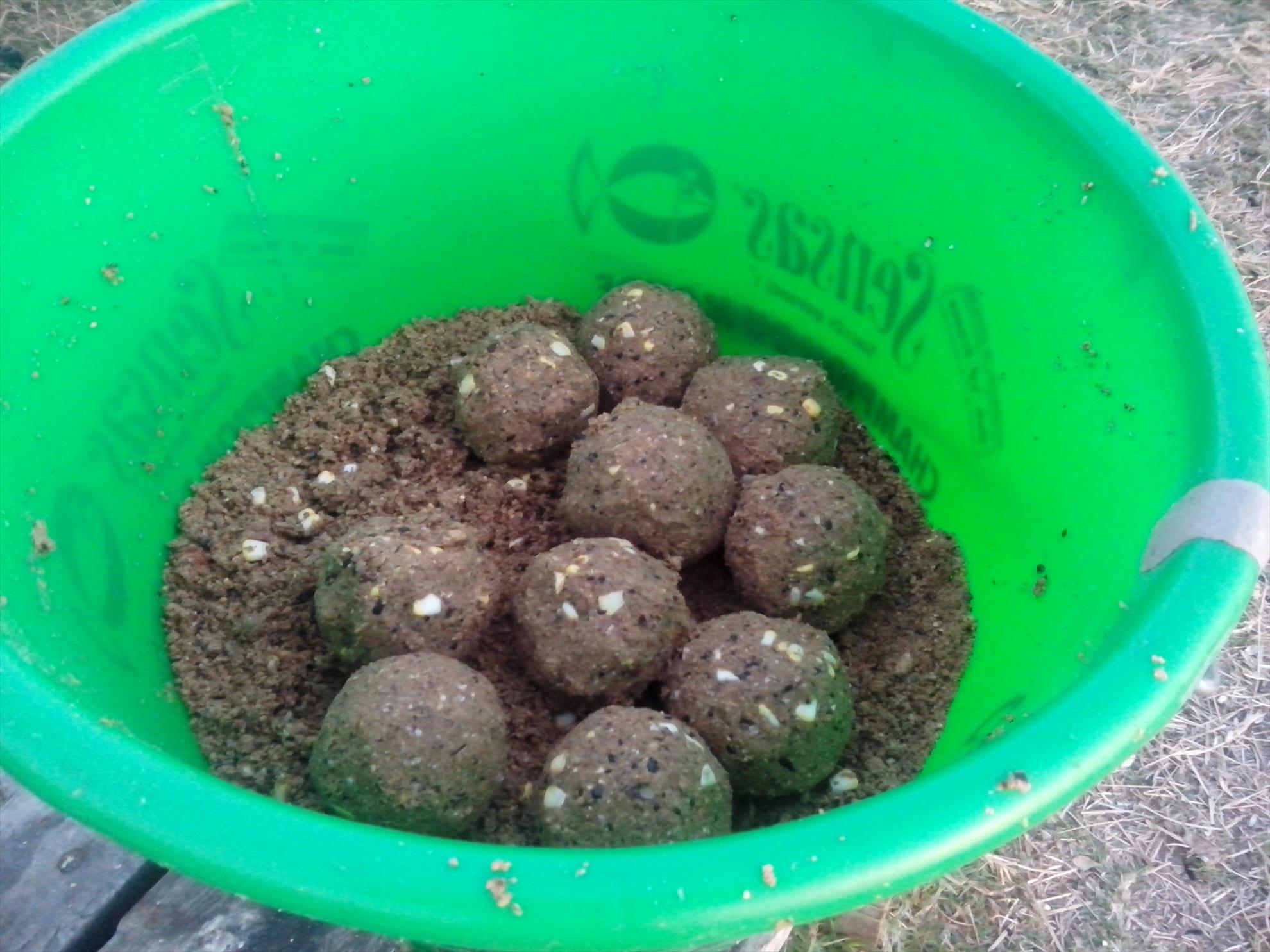 La pescuit ! - img20140820061404.jpg